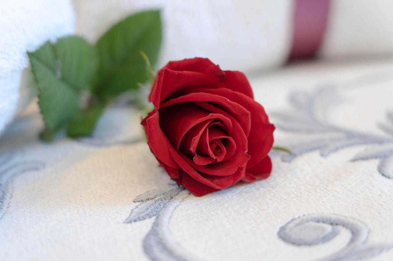 Bed and Breakfast Royal Gardens Казерта Экстерьер фото